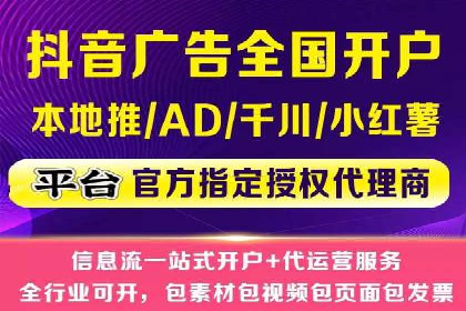 某电商平台的SEM策略与效果展示